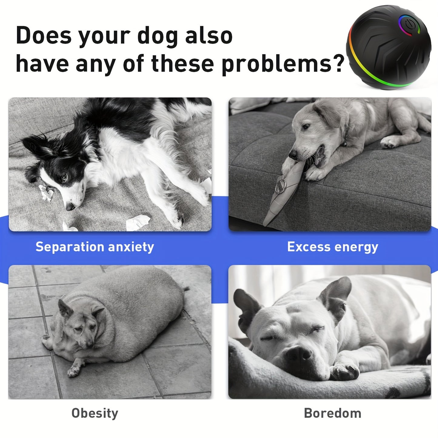 [Interactive Dog Ball] 6.6cm/2.62in Large Size Pet Smart Bouncing Ball, Interactive Dog Toy, Motion-Activated Automatic Rolling Ball for Puppies/Small Dogs/Medium Dogs/Large Dogs, Interactive Dog Ball, Playful Design, Durable